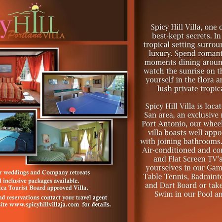Spicy Hill Villa Port Antonio Quarto foto
